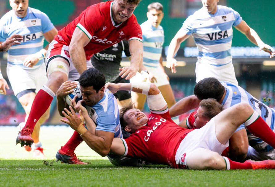 Los Pumas vencieron a Gales 33-11